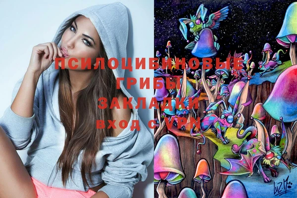 дурь Алексеевка